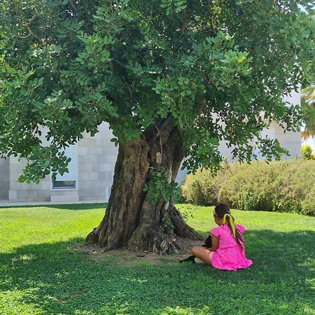 I Mestri Holiday Homes Uggiano La Chiesa Ngoại thất bức ảnh